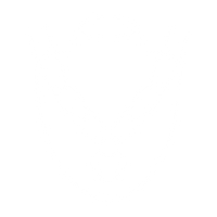 Traditional & Trendy Designs